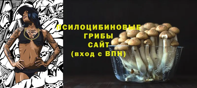 Псилоцибиновые грибы Psilocybe  Жуковка 